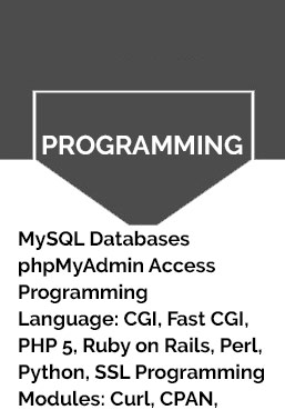 Graphic with the word “PROGRAMMING” and a list of web development tools and languages