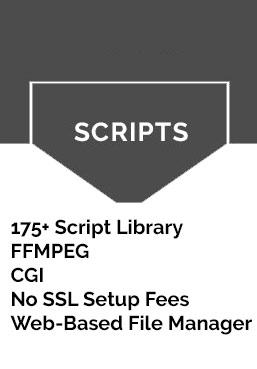 Graphic showing a Scripts panel with a list of web hosting features